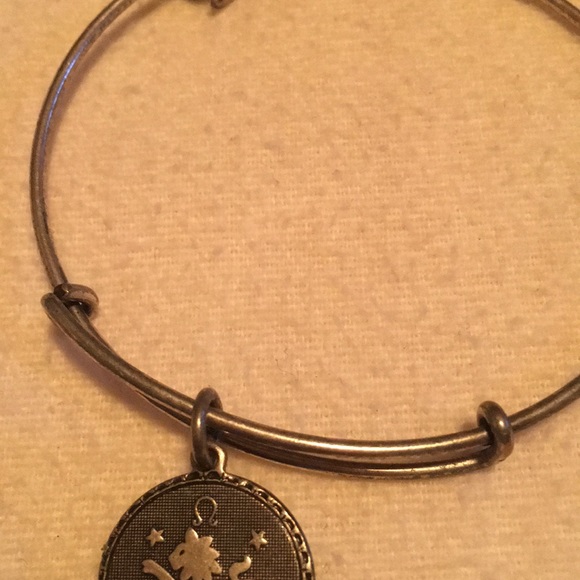 Alex and Ani Silver Charm Bangle - Picture 2 of 3